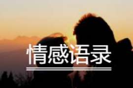 婚外情调查取证